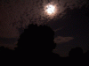 moon_silhouette