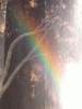 rainbow03