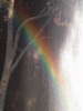 rainbow05