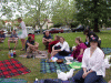 crowd5