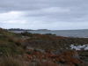 beach_mornington
