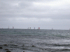 boats