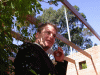 wes_angle