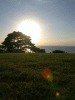 view_lensflare02