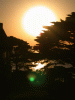 view_lensflare04