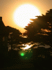 view_sunset03